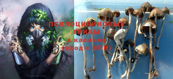 кокс Новодвинск