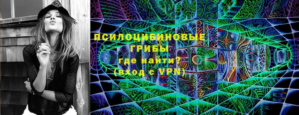 стафф Новокубанск
